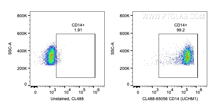 FC experiment of human PBMCs using CL488-65056