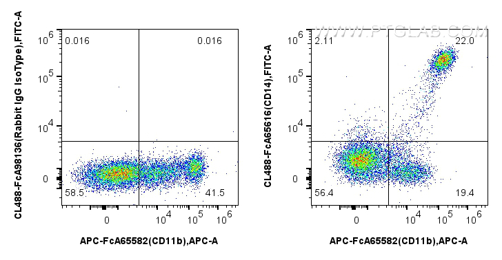 FC experiment of human PBMCs using CL488-FcA65616
