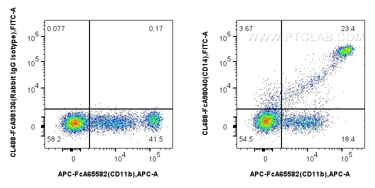 FC experiment of human PBMCs using CL488-FcA98040