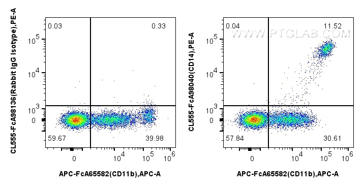 FC experiment of human PBMCs using CL555-FcA98040