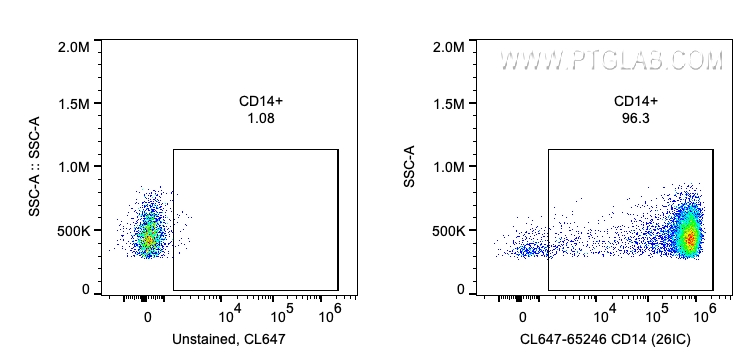 CD14