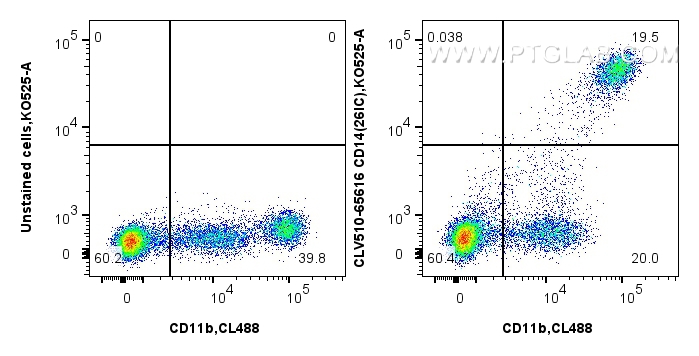 FC experiment of human PBMCs using CLV510-65616