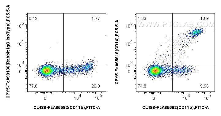 FC experiment of human PBMCs using CPY5-FcA65616