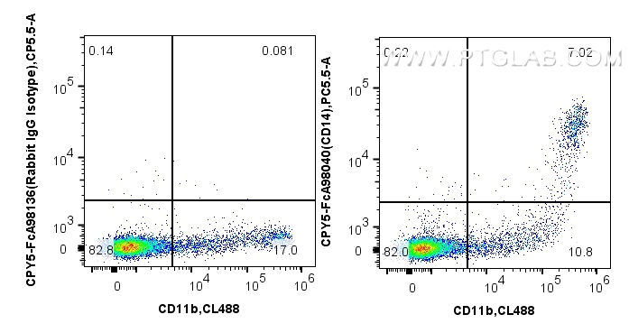 FC experiment of Cnyo PBMCs using CPY5-FcA98040