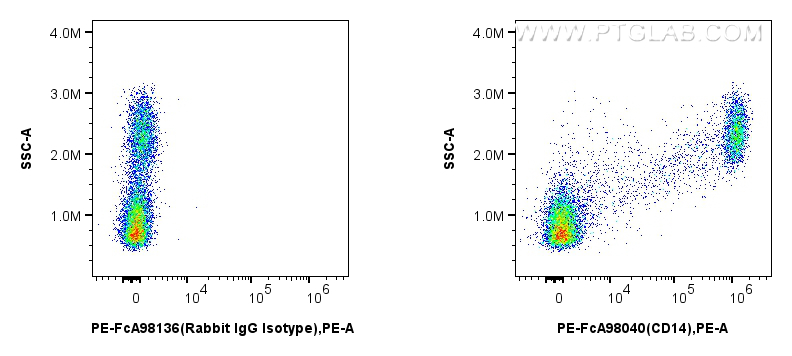 FC experiment of human PBMCs using PE-FcA98040