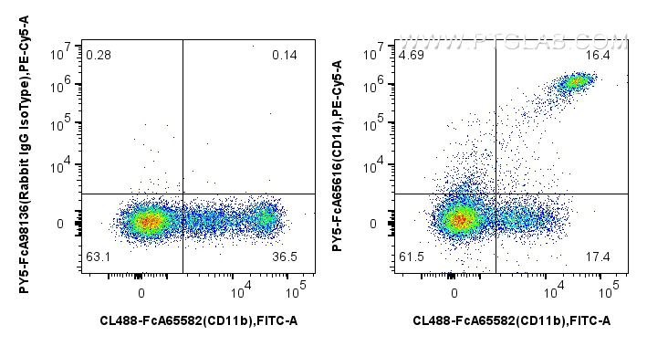 FC experiment of human PBMCs using PY5-FcA65616