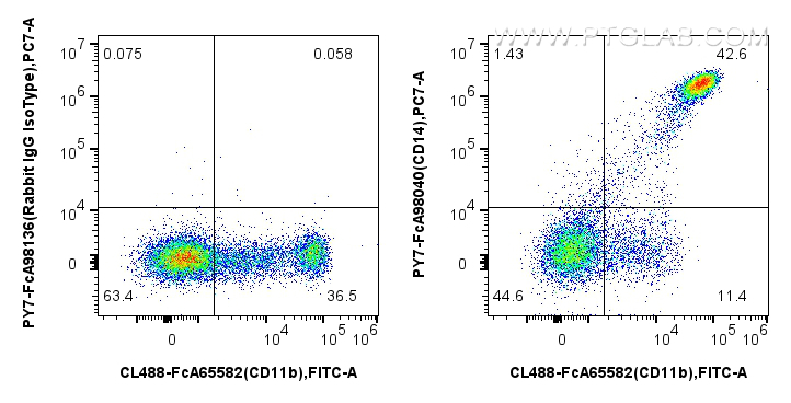 FC experiment of human PBMCs using PY7-FcA98040