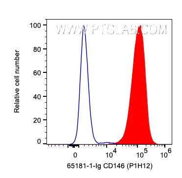 FC experiment of HeLa using 65181-1-Ig