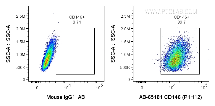 FC experiment of A375 using AB-65181