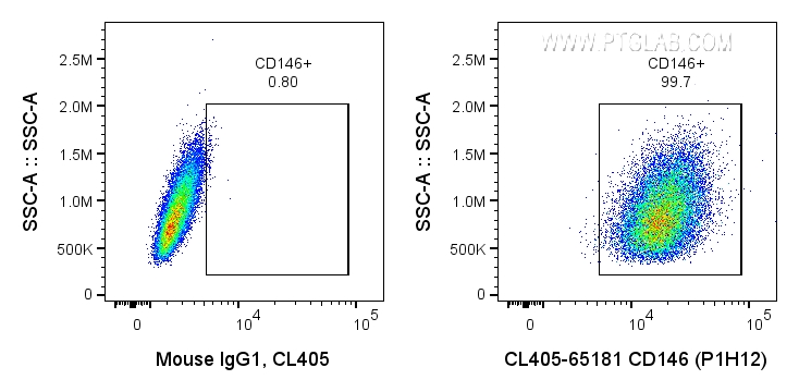 FC experiment of A375 using CL405-65181