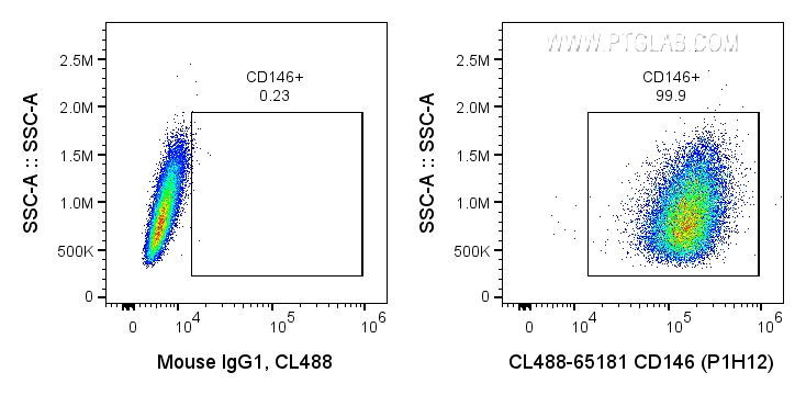 FC experiment of A375 using CL488-65181