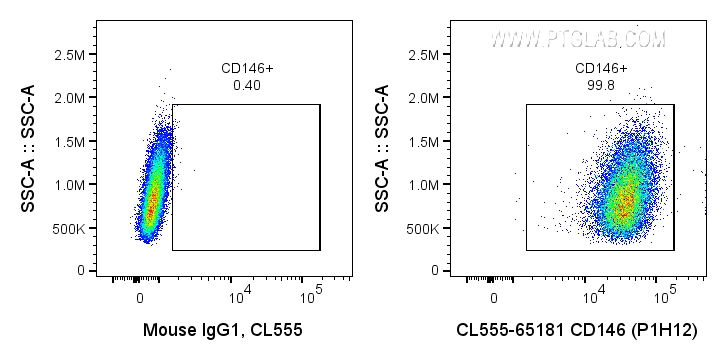 FC experiment of A375 using CL555-65181