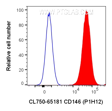 FC experiment of A375 using CL750-65181