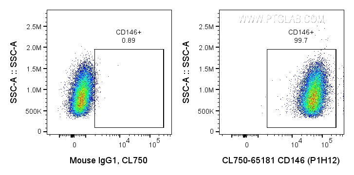 FC experiment of A375 using CL750-65181