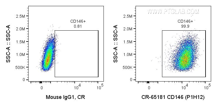 FC experiment of A375 using CR-65181