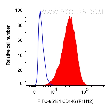 FC experiment of A375 using FITC-65181