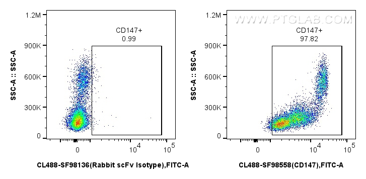 FC experiment of human PBMCs using CL488-SF98558 FC experiment of human PBMCs using CL488-SF98558