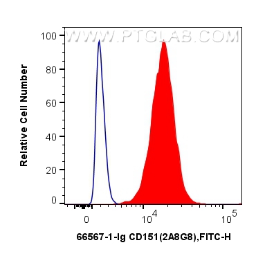CD151