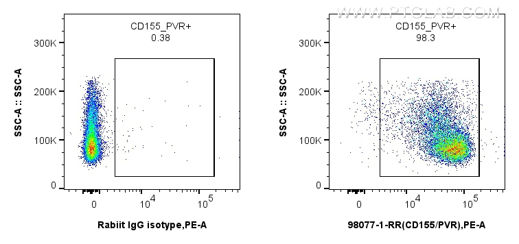FC experiment of mouse thymocytes using 98077-1-RR