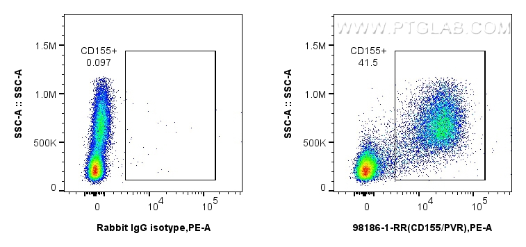 FC experiment of human PBMCs using 98186-1-RR (same clone as 98186-1-PBS)