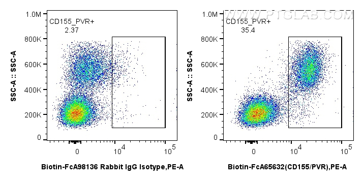1x10^6 human PBMCs were surface stained with 0.25 ug Biotin Anti-Human CD155/PVR (SKII.4) Rabbit IgG RecAb (Biotin-FcA65632, Clone: SKII.4) or FcZero-rAb™ Biotin Rabbit IgG Isotype Control Recombinant Antibody (<a class='green' href='/productredirect?CatalogNo=Biotin-FcA98136' target='_blank'>Biotin-FcA98136</a>, Clone: 240953C9), and Streptavidin-PE Conjugate (<a class='green' href='/productredirect?CatalogNo=PE-PF00030' target='_blank'>PE-PF00030</a>) (red). Cells were not fixed. FC experiment of human PBMCs using Biotin-FcA65632