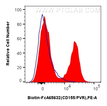 1x10^6 human PBMCs were surface stained with 0.25 ug Biotin Anti-Human CD155/PVR (SKII.4) Rabbit IgG RecAb (Biotin-FcA65632, Clone: SKII.4) (red) or FcZero-rAb™ Biotin Rabbit IgG Isotype Control Recombinant Antibody (<a class='green' href='/productredirect?CatalogNo=Biotin-FcA98136' target='_blank'>Biotin-FcA98136</a>, Clone: 240953C9) (blue), and Streptavidin-PE Conjugate (<a class='green' href='/productredirect?CatalogNo=PE-PF00030' target='_blank'>PE-PF00030</a>). Cells were not fixed. FC experiment of human PBMCs using Biotin-FcA65632