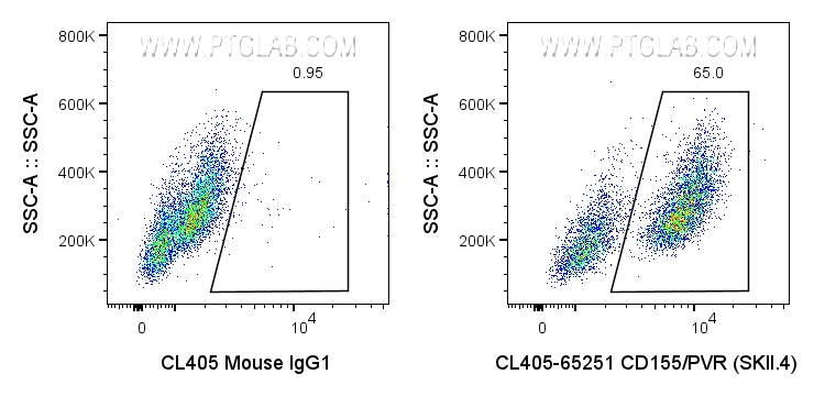 FC experiment of U-937 using CL405-65251