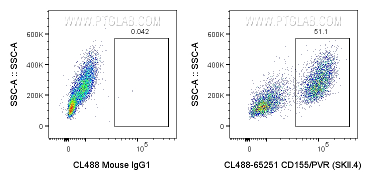 FC experiment of U-937 using CL488-65251