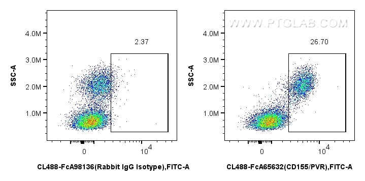 FC experiment of human PBMCs using CL488-FcA65632 FC experiment of human PBMCs using CL488-FcA65632