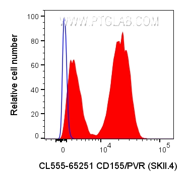 FC experiment of U-937 using CL555-65251