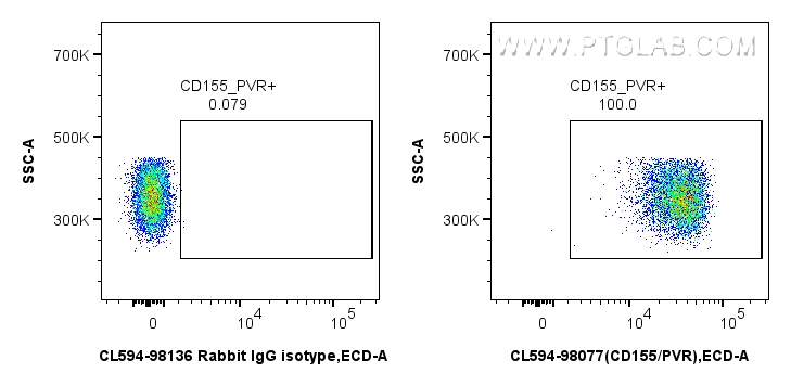 FC experiment of mouse thymocytes using CL594-98077