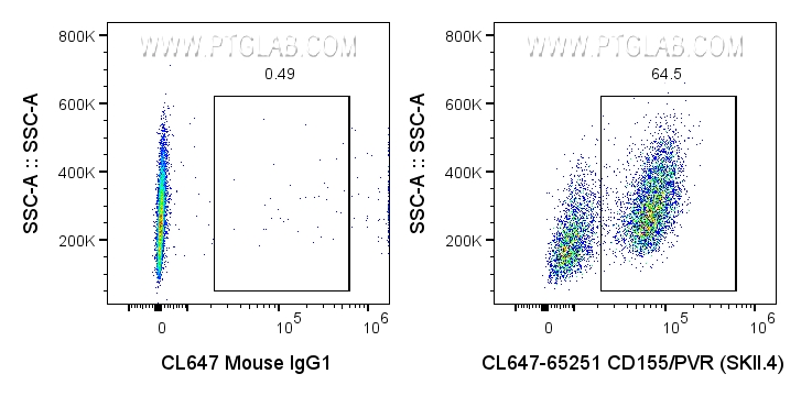 FC experiment of U-937 using CL647-65251