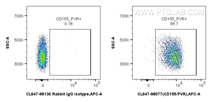 FC experiment of mouse thymocytes using CL647-98077