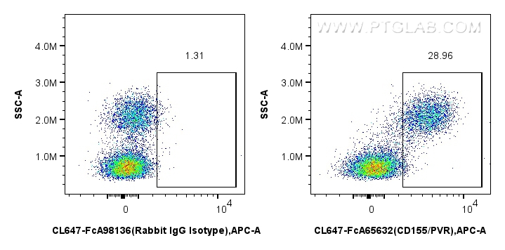 FC experiment of human PBMCs using CL647-FcA65632 FC experiment of human PBMCs using CL647-FcA65632