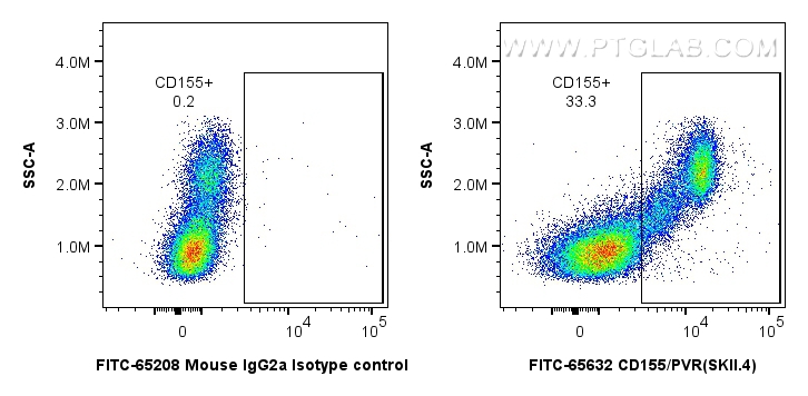 FC experiment of human PBMCs using FITC-65632