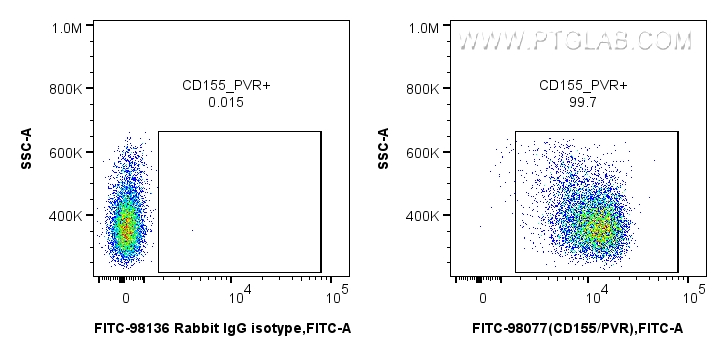 FC experiment of mouse thymocytes using FITC-98077