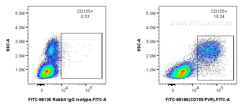 FC experiment of human PBMCs using FITC-98186