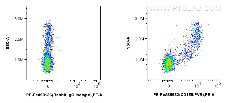 FC experiment of human PBMCs using PE-FcA65632