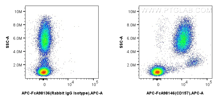 FC experiment of human peripheral blood leukocyte using APC-FcA98146