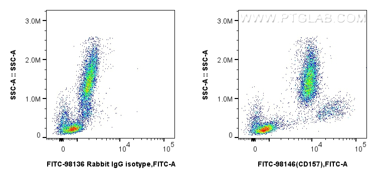 FC experiment of human peripheral blood leukocytes using FITC-98146