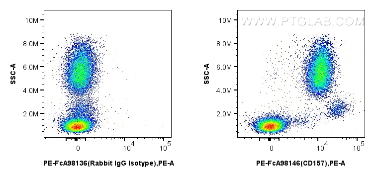 FC experiment of human peripheral blood leukocyte using PE-FcA98146