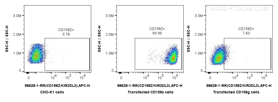 FC experiment of Transfected CHO-K1 using 98628-1-RR (same clone as 98628-1-PBS)