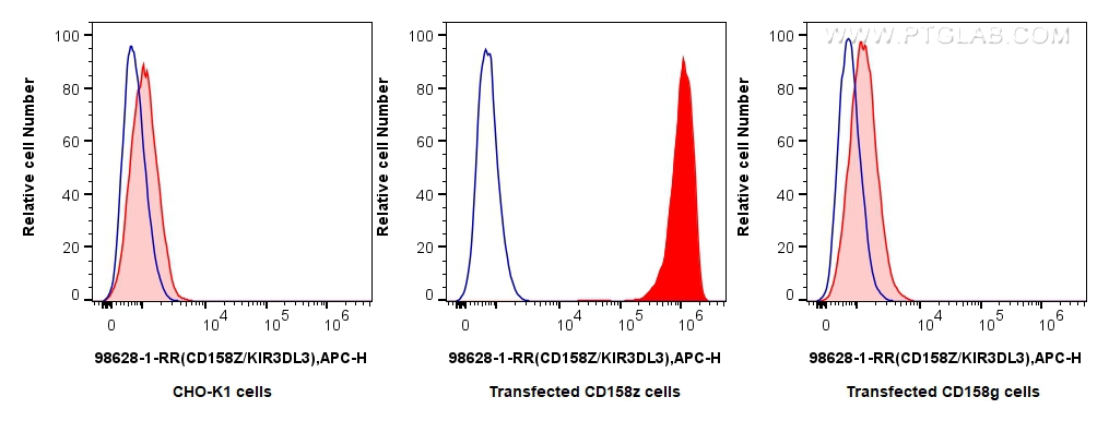 FC experiment of Transfected CHO-K1 using 98628-1-RR (same clone as 98628-1-PBS)