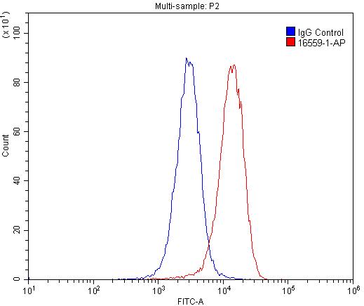 CD16