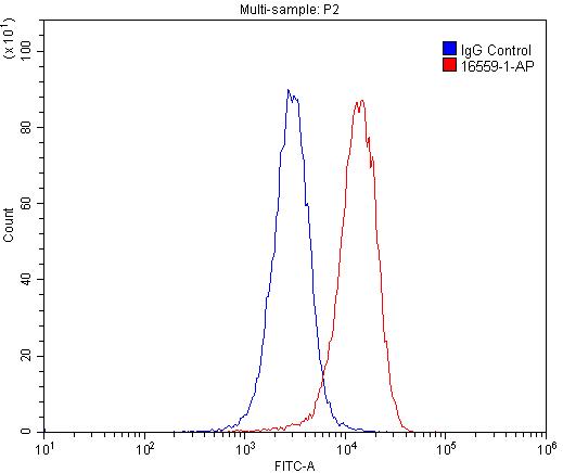 FC experiment of U-937 using 16559-1-AP