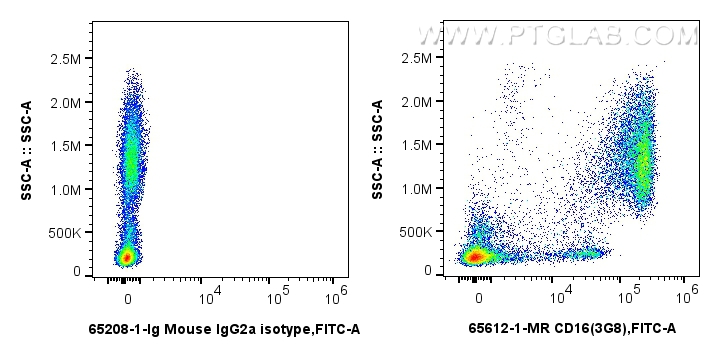 FC experiment of human peripheral blood leukocyte using 65612-1-MR (same clone as 65612-1-PBS)