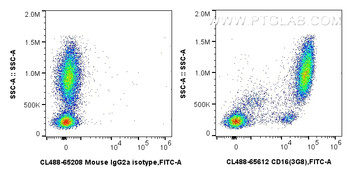 FC experiment of human peripheral blood leukocytes using CL488-65612