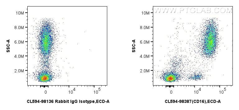1x10^6 human peripheral blood leukocytes were surface stained with 5 ul CoraLite®594 Anti-Human CD16 Rabbit RecAb (CL594-98387, Clone: 242426C2) or CoraLite®594 Rabbit IgG Isotype Control RecAb (<a class='green' href='/productredirect?CatalogNo=CL594-98136' target='_blank'>CL594-98136</a>, Clone: 240953C9). Cells were incubated with FC Receptor Block prior to staining. Cells were not fixed. FC experiment of human peripheral blood leukocytes using CL594-98387