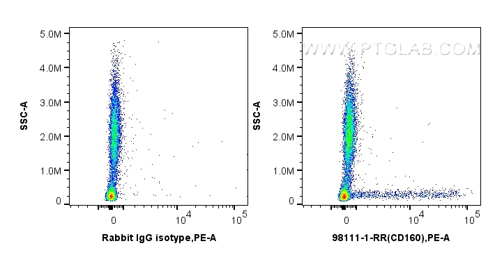 FC experiment of human peripheral blood leukocytes using 98111-1-RR (same clone as 98111-1-PBS)