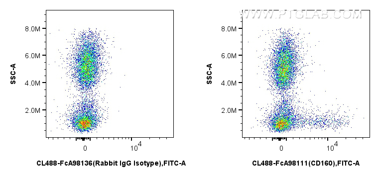 FC experiment of human peripheral blood leukocyte using CL488-FcA98111